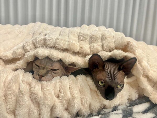 Quica and Maria resting