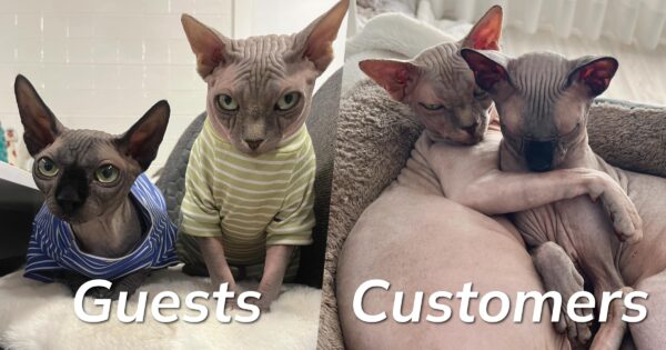 Convert your guest order customers into registered customers on WooCommerce with our new plugin